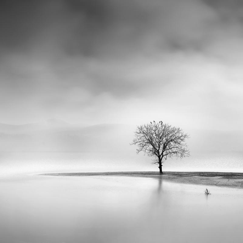 Landscape in the Mist by George Digalakis 2018