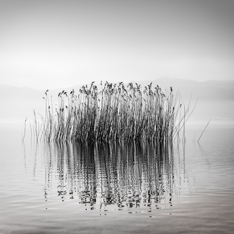 Quiet Waters by George Digalakis 2018