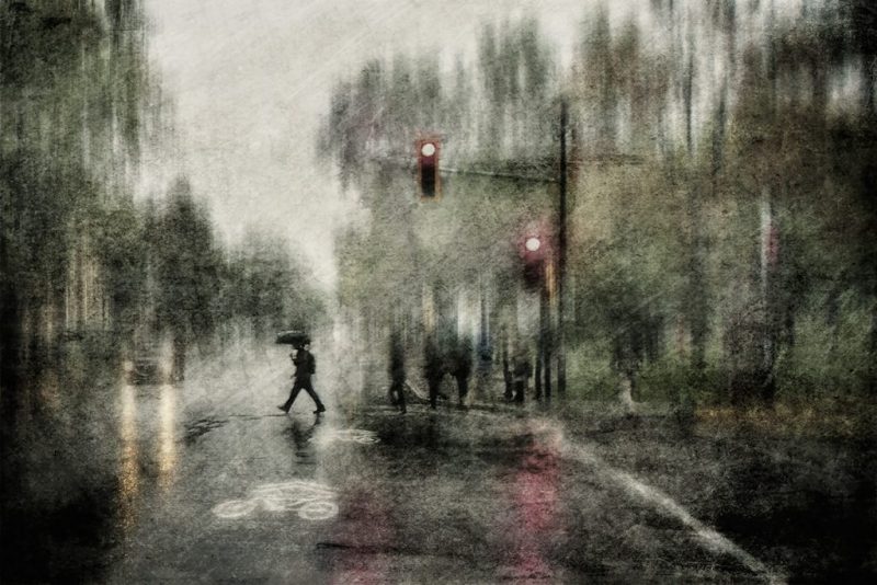 Spring Mist by Daniel Castonguay