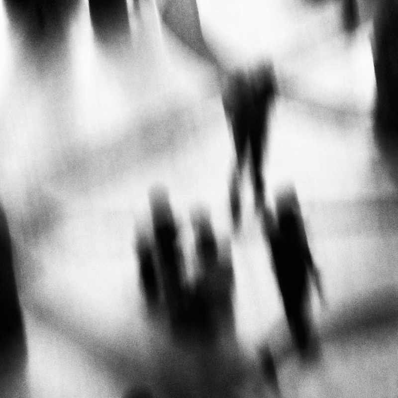 Mushfiqur Rahman, Tagree