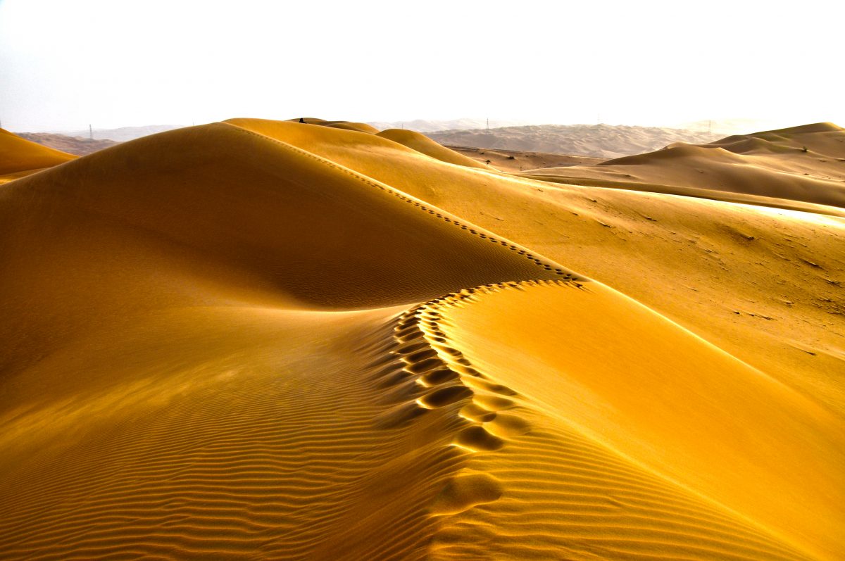 The Arabian Desert by the eyes of its people by Sadiq AlQatari