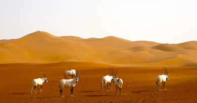 Endless vastness, and the glowing heat by Sadiq AlQatari