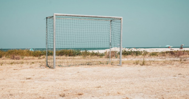 LONELINETS: The Loneliness of the Nets by Stefano Fristachi