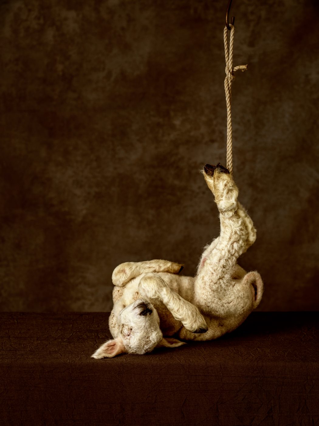 Renata Dutree: Lamb on a Hook