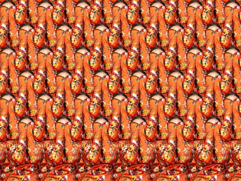 Claudia Rogge, Camouflage I, Lambda auf Alu-Dibond, 2022, 90 x 120 cm