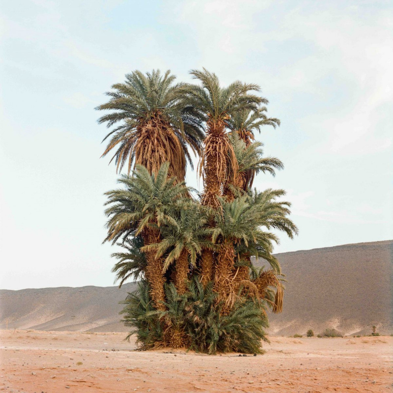 By M'Hammed Kilito
