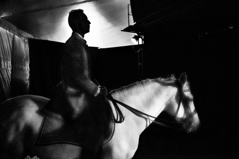 White Horse Black Rider, 2018, by Oliver Stegmann