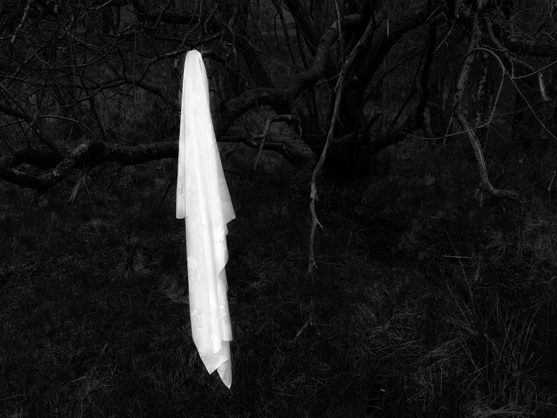 Nostalgia by Monika K. Adler