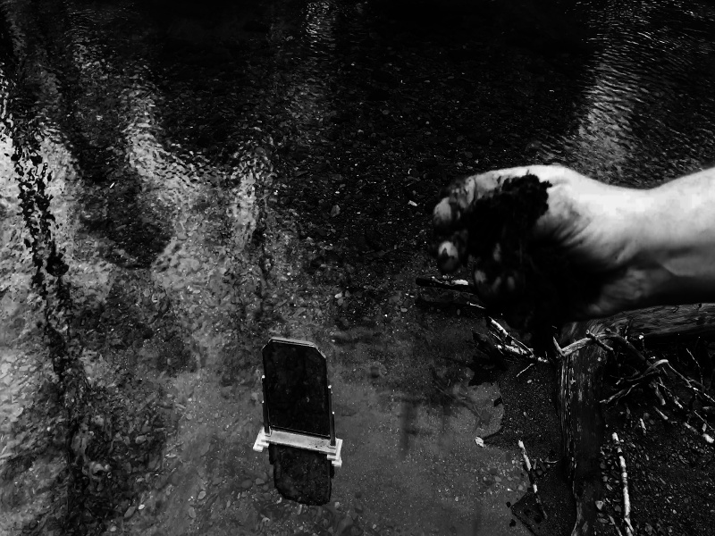 Nostalgia by Monika K. Adler