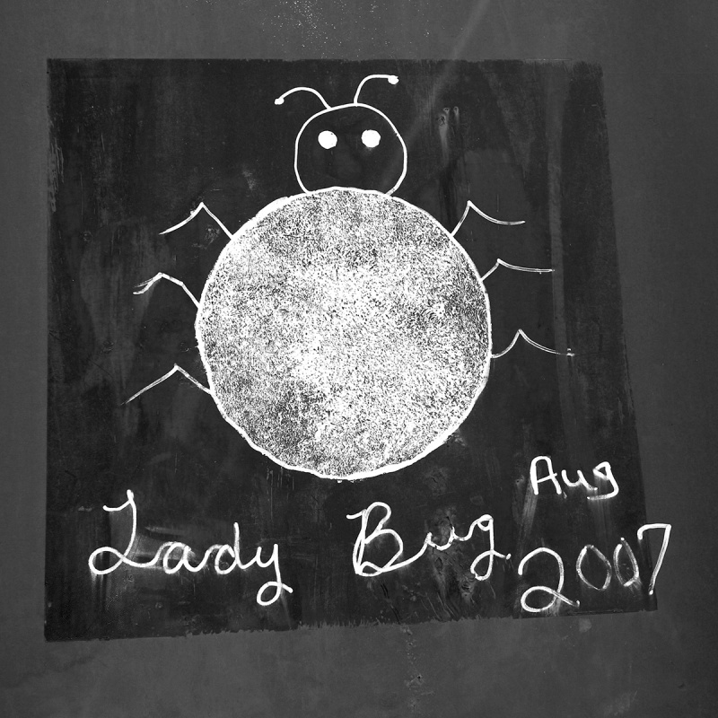 Lady Bug by Adam Void