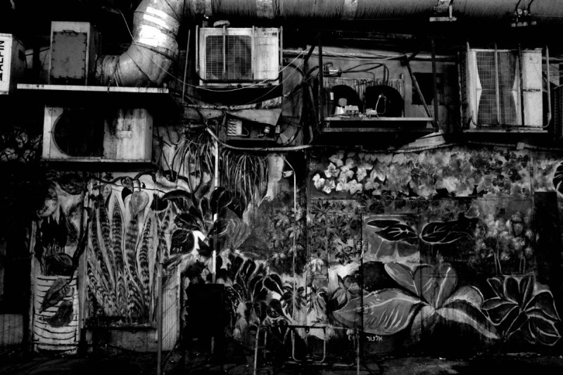 Wall by Igal Stulbach