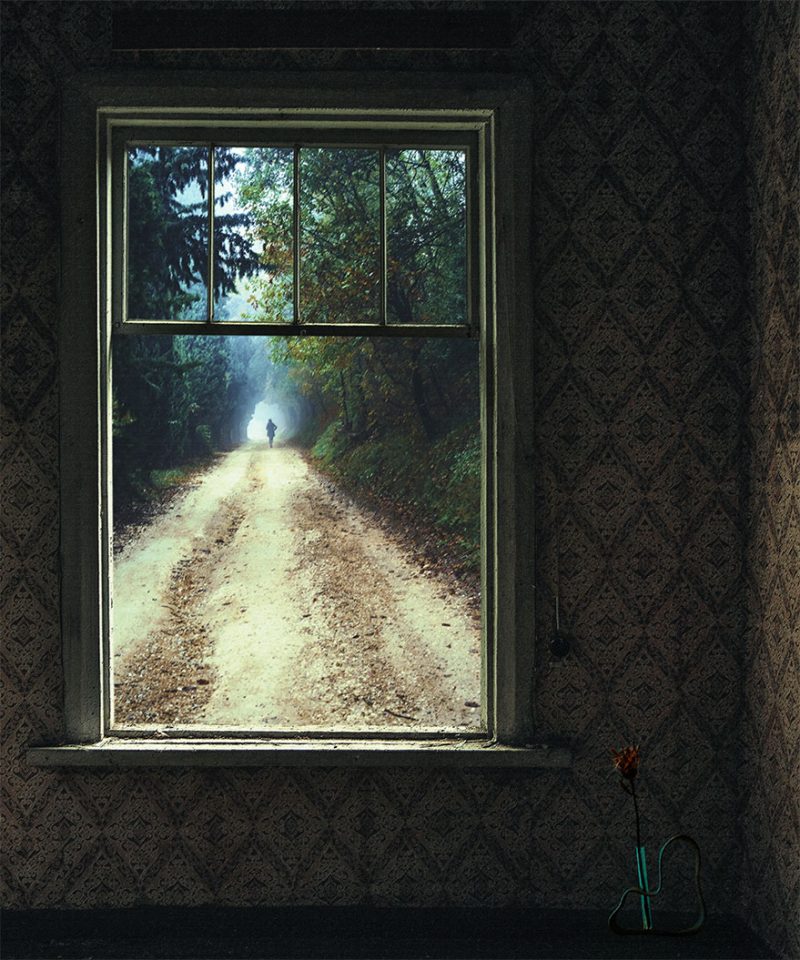 Remain No 1 by Hermann Fuchs